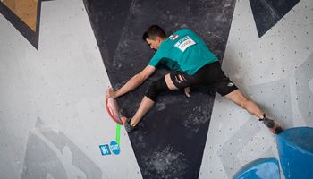 (c)IFSC/Miskovic