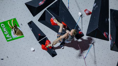 (c)IFSC/Villani